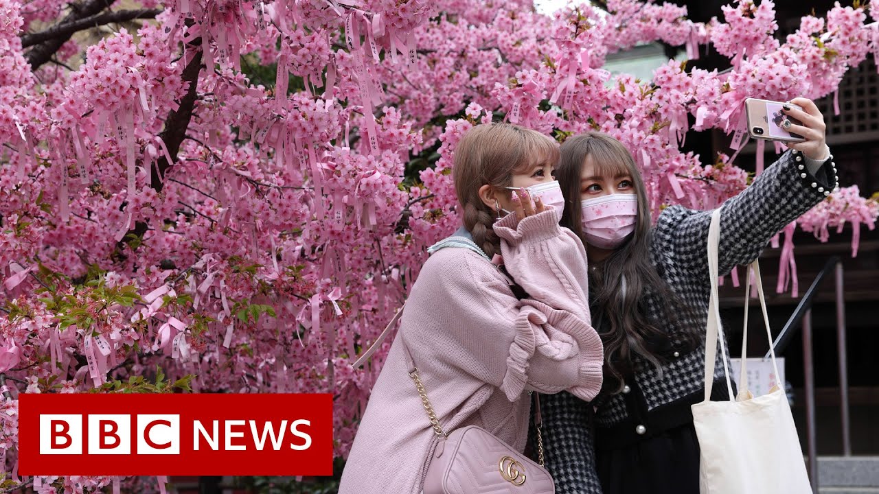 chua chin share japaneese bbc photos