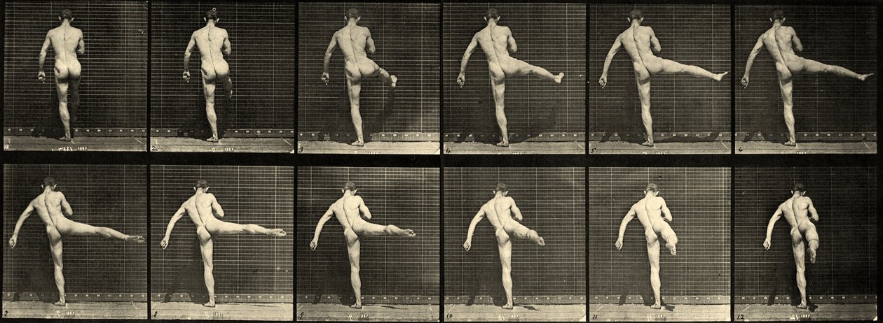 Best of Male ballet dancers nude