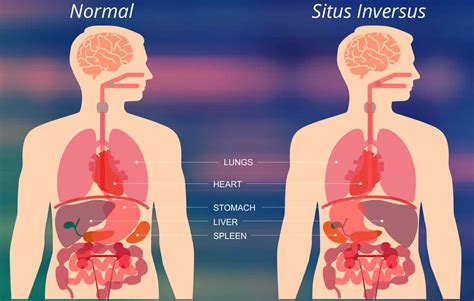 amy good recommends Situs Bokep Indo Viral