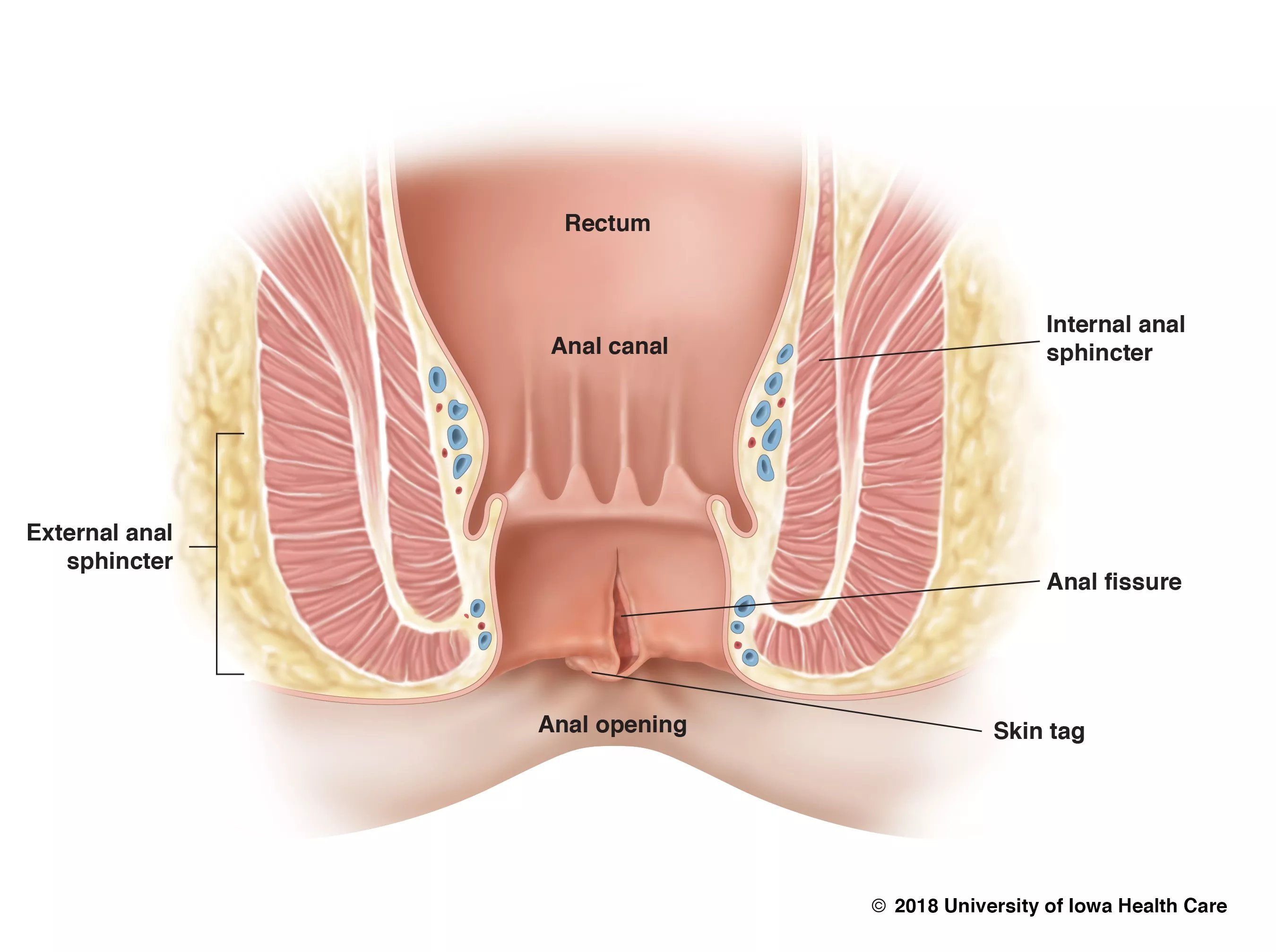 ana mario recommends anal pain face pic