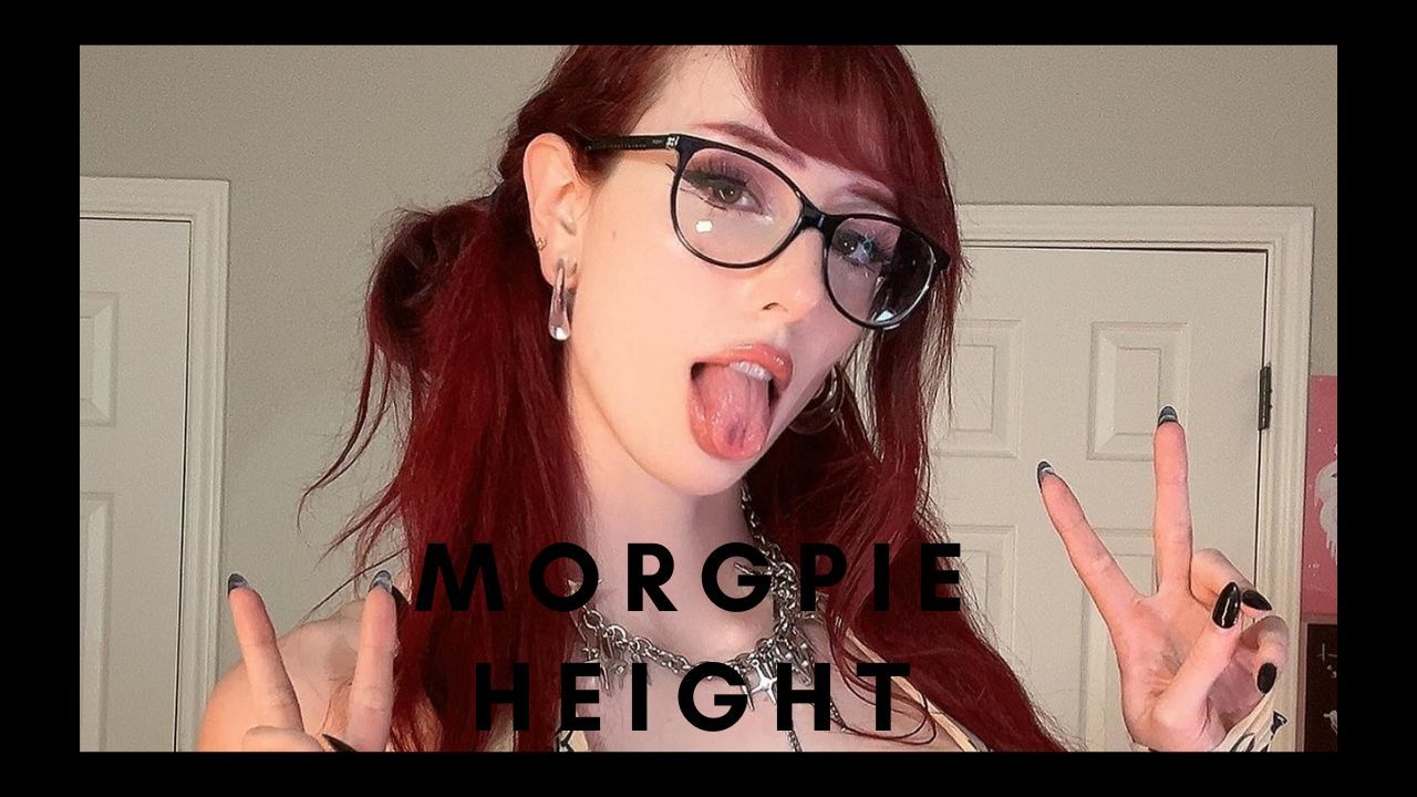 bi pham recommends How Tall Is Morgpie