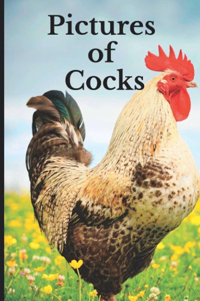 bhuvana esh recommends the gift of cock 2 pic