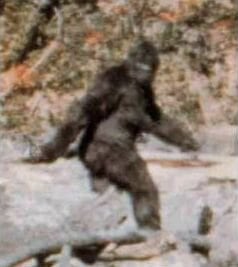 colleen ham recommends bigfoot with tits pic