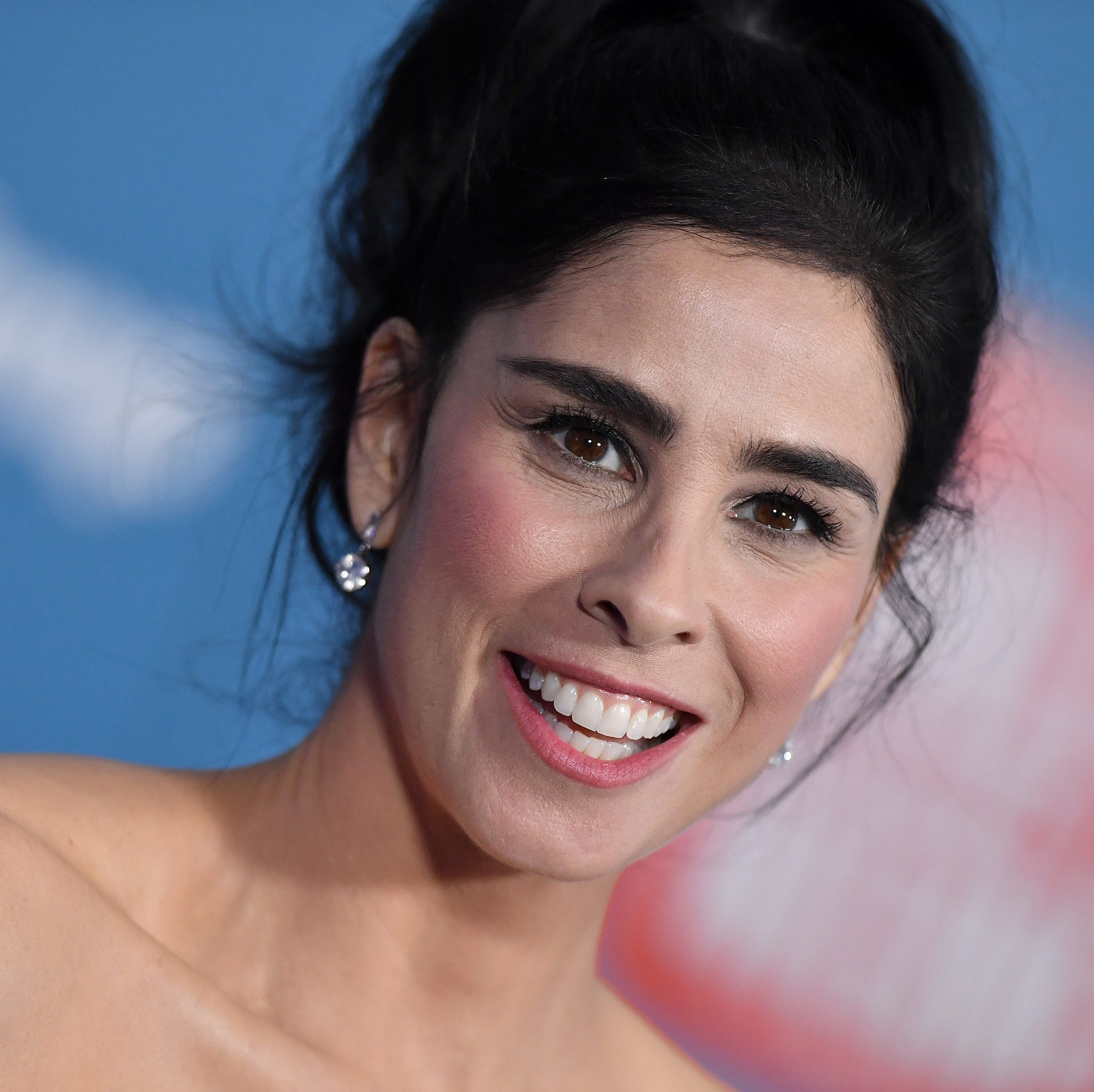 daniel ryland add sarah silverman in bikini photo