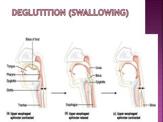 beatrix alexandra recommends matures that swallow pic