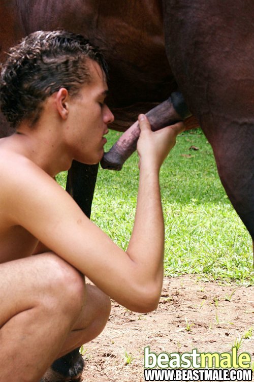 chris sutera add sucking horses cock photo