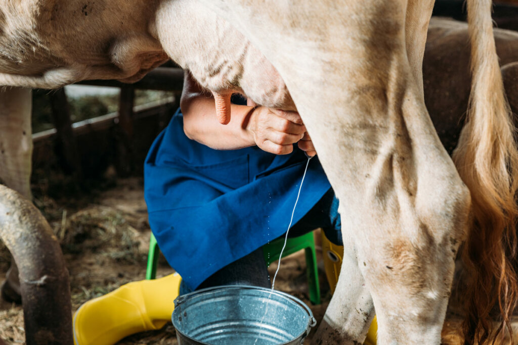 charles anyona recommends Guys Getting Milked