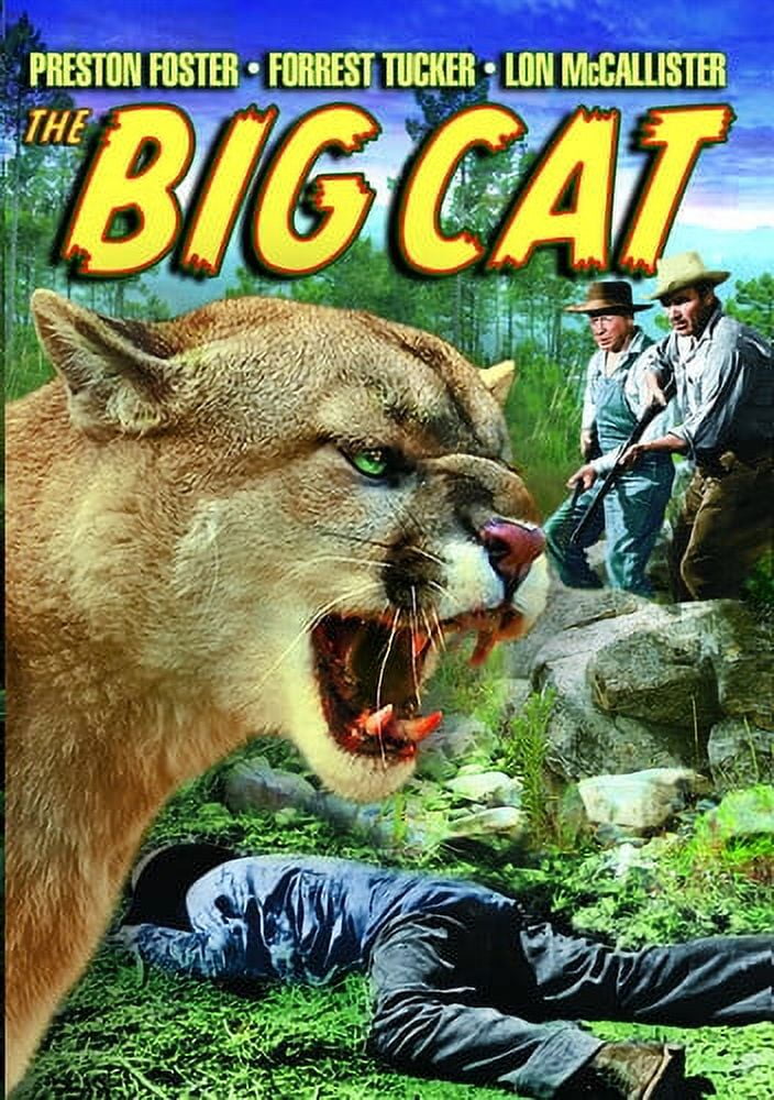 david barrymore add big cat porn photo