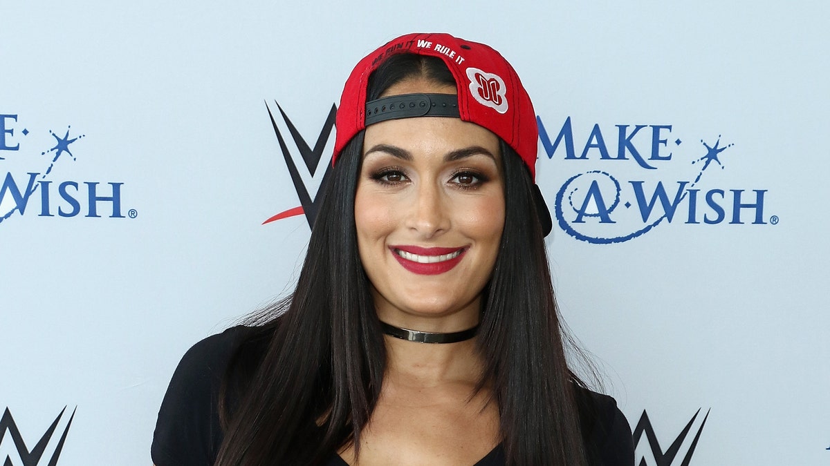 christina corder recommends Nude Pictures Of Nikki Bella