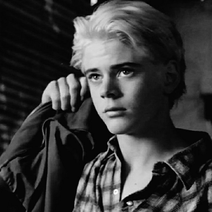 andre sitohang recommends blonde ponyboy pic