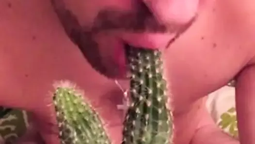 Best of Cactus porn