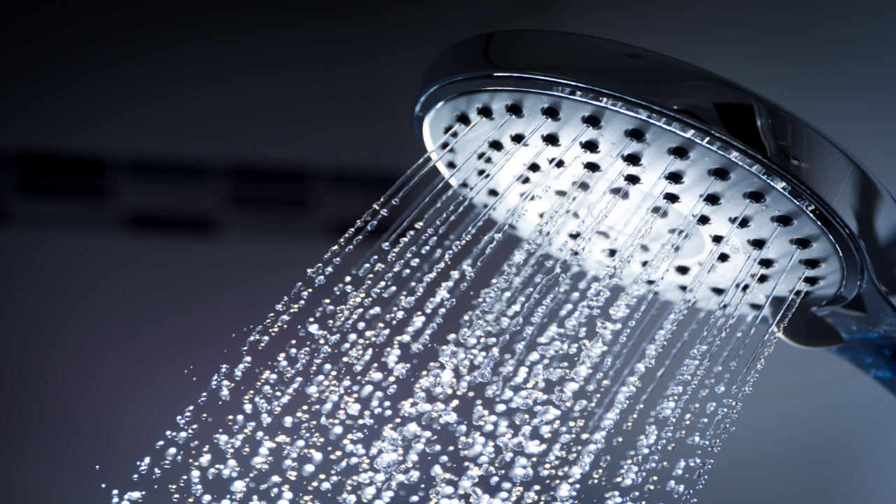 debbie faris add masterbation shower head photo