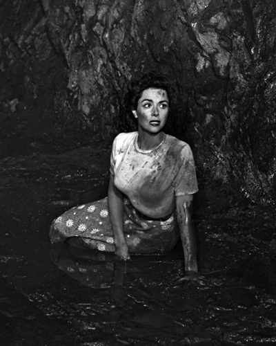 cynthia fine recommends Dana Wynter Nude