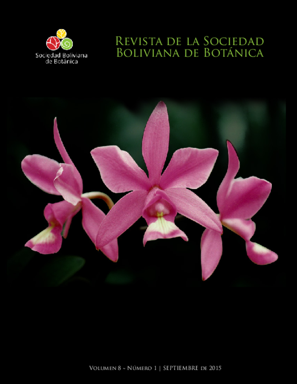 Mini Boliviana brothel rates