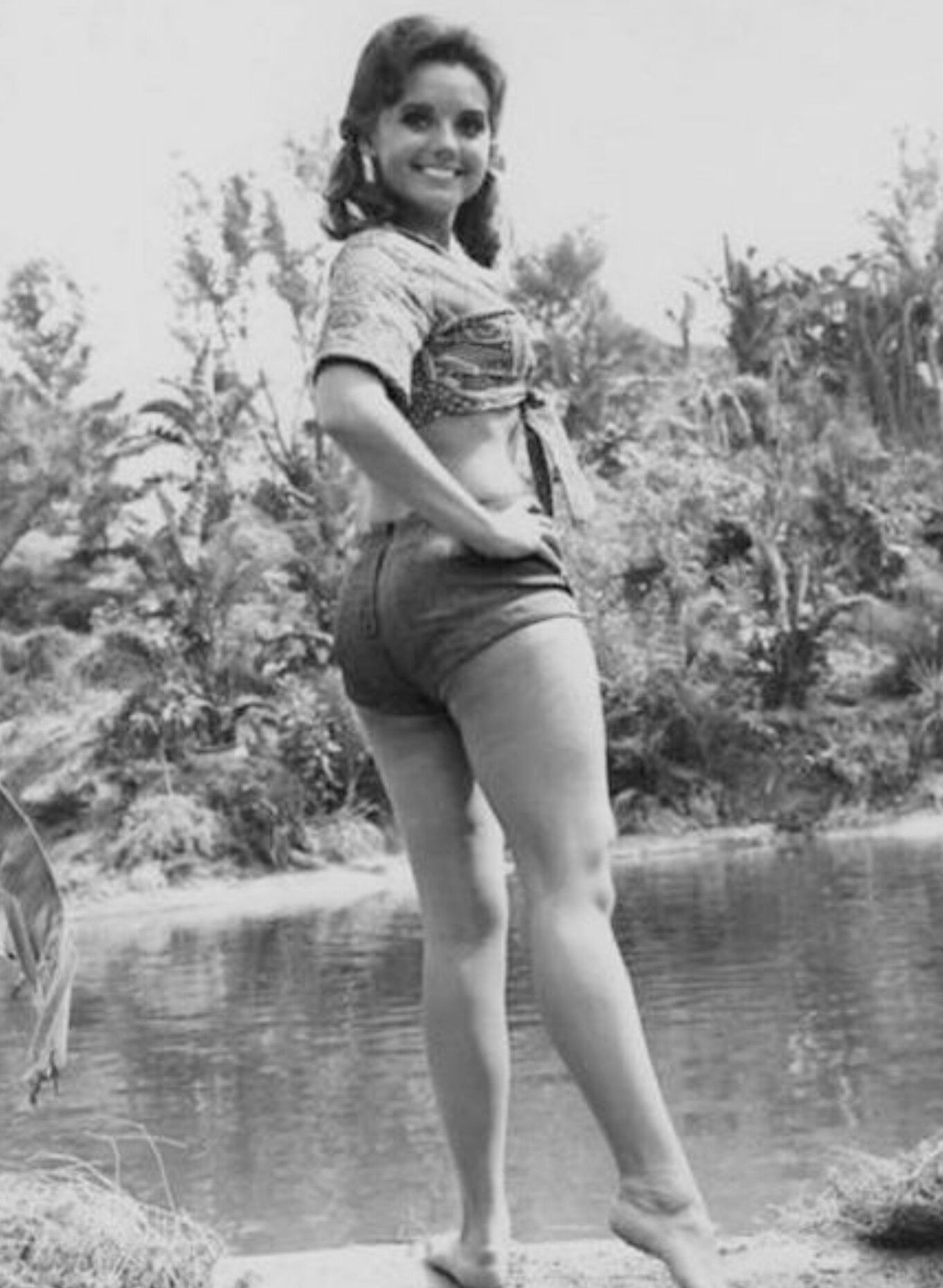 andrey jourovski recommends Dawn Wells In A Bikini