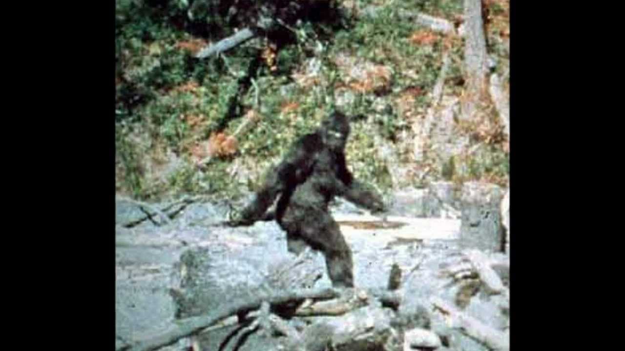 derek preble recommends Bigfoot With Tits