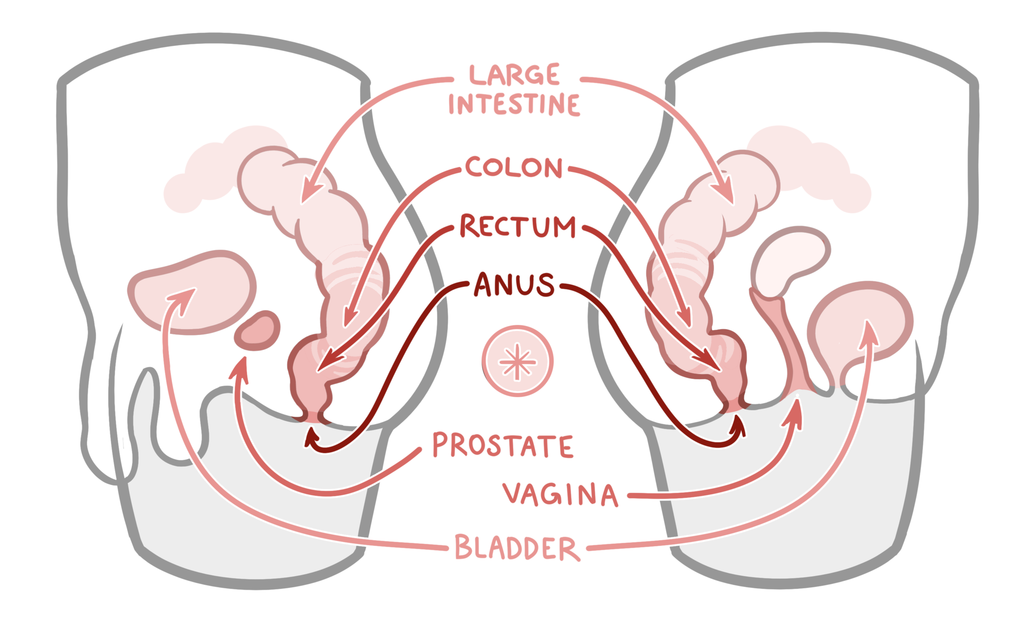 amol sonwane recommends guide to anal fisting pic