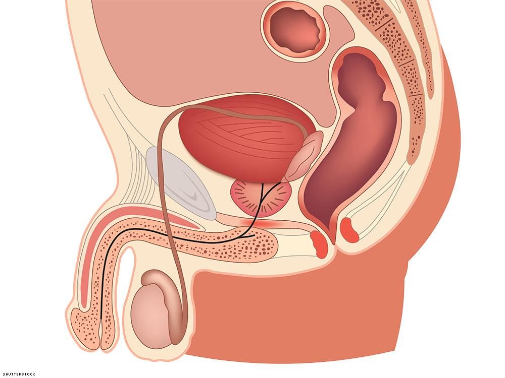 agra agis recommends guide to anal fisting pic