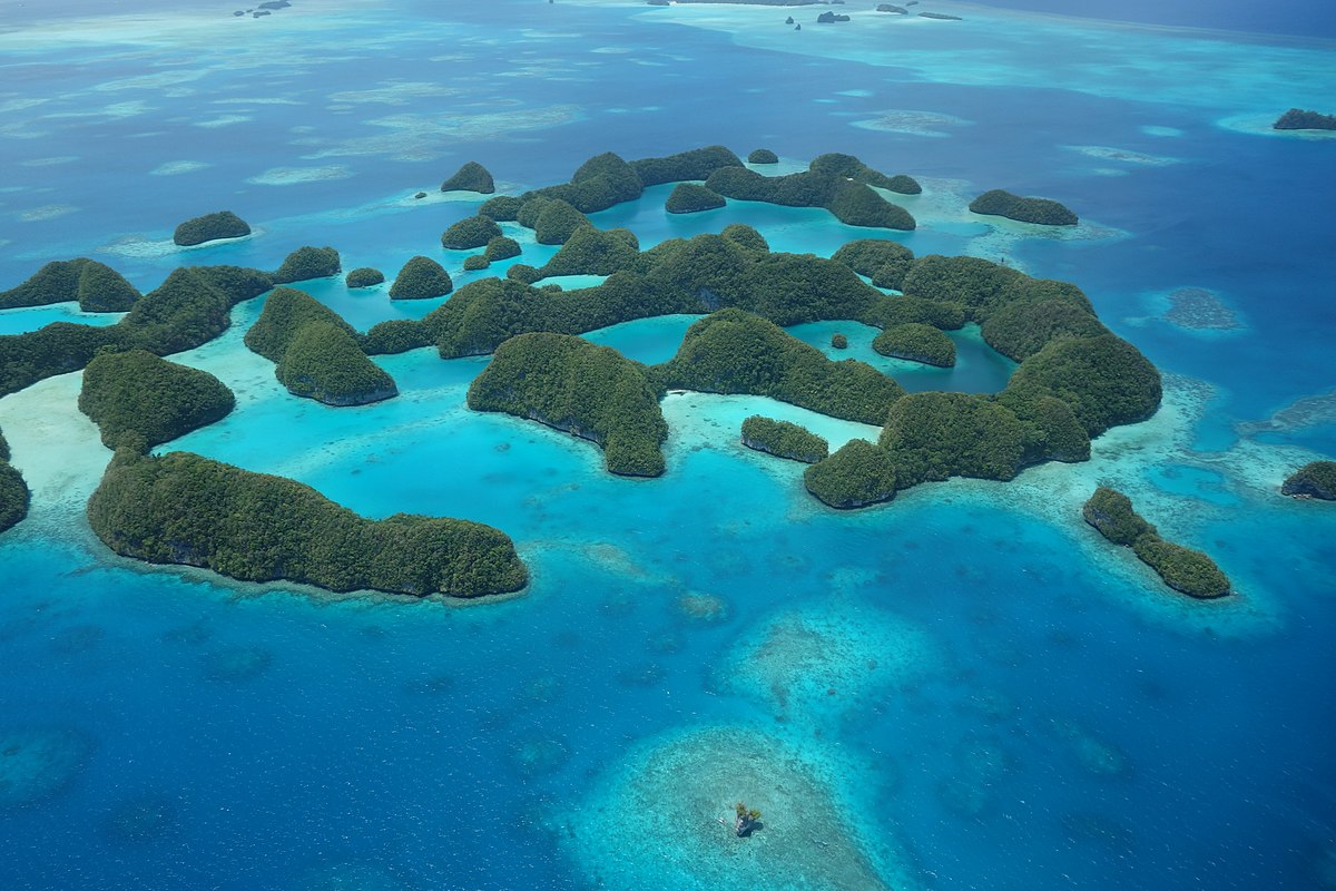 amanda lidlow share mercгё palau photos