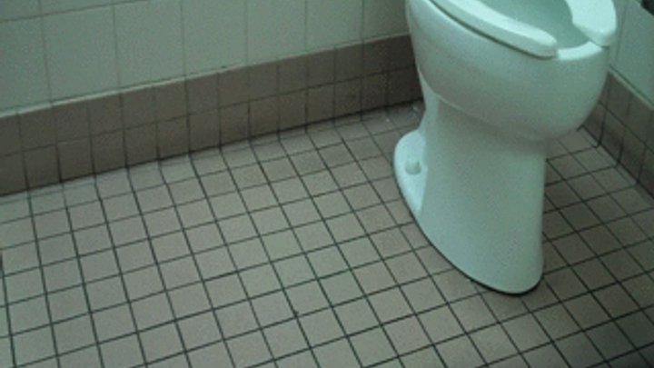 annie jilani like really long piss at toilet lid porn photo bruce toth recommends really long piss at toilet lid porn pic